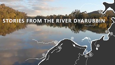 11 Stories from River Dyarubbin