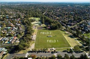 Crestwood Reserve fields