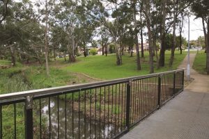 Crestwood Reserve walkways