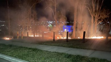 Grass Fire - Box Hill