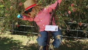 Scarecrow Festival 2023 at Richmond Scarecrow Festival 2023 at Richmond - Scarecrow Festival 2023 at Richmond A Scarecrow During The Scarecrow Festival In 2020