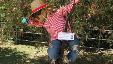 A scarecrow during the Scarecrow Festival in 2020