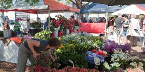 Castle Hill Market