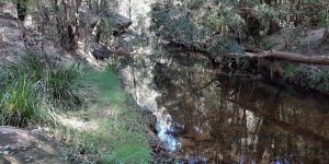 Creek in the Hills Shire