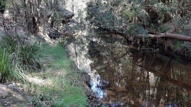 Creek in the Hills Shire