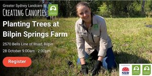 Greater Sydney Landcare planting in Bilpin Greater Sydney Landcare planting in Bilpin - Greater Sydney Landcare planting in Bilpin Creating Canopies By Greater Sydney Landcare
