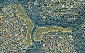 Hazard Reduction Burn at Carinda Drive, Glenhaven Hazard Reduction Burn at Carinda Drive, Glenhaven - Hazard Reduction Burn at Carinda Drive, Glenhaven Hazard Reduction Burn At Carinda Drive Glenhaven