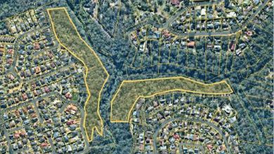 Hazard Reduction Burn at Carinda Drive Glenhaven