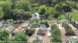 Sydney Edible Garden Trail 2023 Sydney Edible Garden Trail 2023 - Sydney Edible Garden Trail 2023 The Kentridge Garden