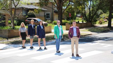 wombat crossing