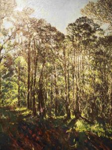 Hawkesbury Now 2023: Artist Talk and Demonstration Hawkesbury Now 2023: Artist Talk and Demonstration - Hawkesbury Now 2023: Artist Talk and Demonstration Sunlight Balances Shadows By Libby Hyett