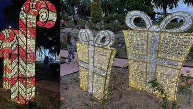 Illuminate The Hills at The Rose Garden