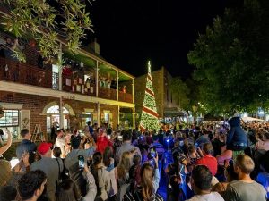 Light Up Windsor Christmas Tree lighting