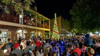 Light Up Windsor Christmas Tree lighting