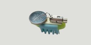 Hawkesbury Library Service MiniBot Workshop