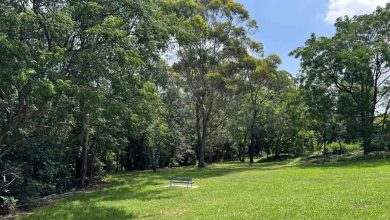 Cockayne Reserve