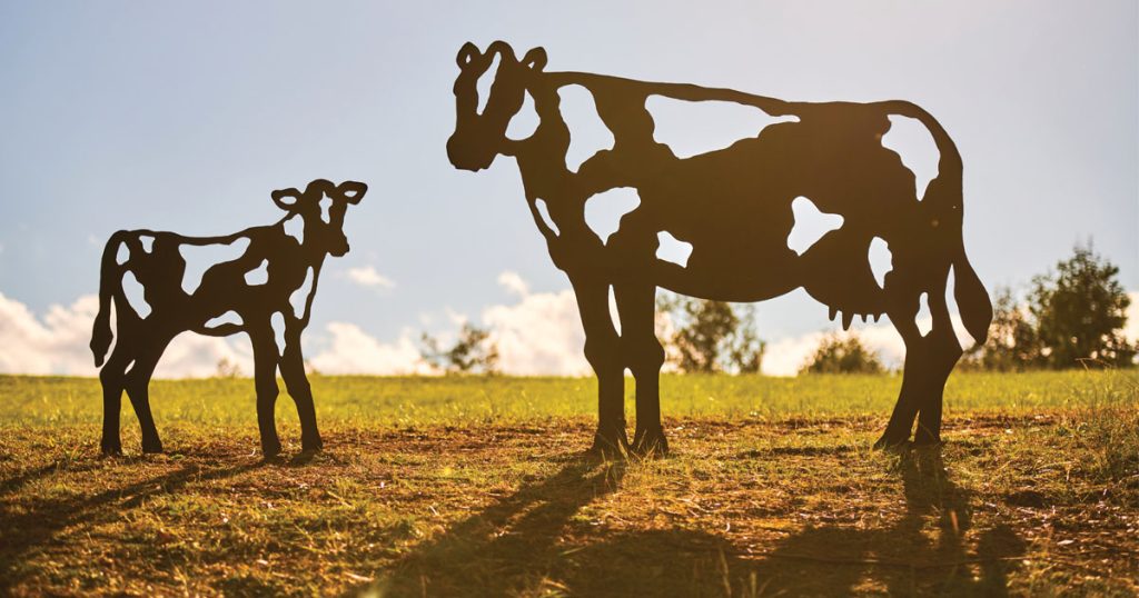 Enjoy a Family Day out on the Kellyville Circuit Metro Walk