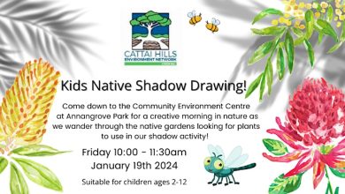 Kids Native Shadow Drawing by Cattai Hills Environment Network