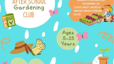 Permaculture Hawkesbury In the Garden Program 5 to 15
