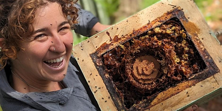 Hills Shire Council Gardening for Native Bees