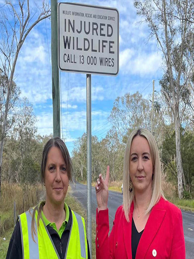 Driving Safely to Protect our Wildlife