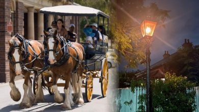 Gas Lamp Festival