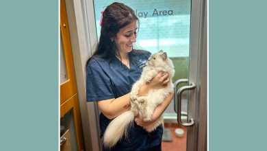 Feline Fine: Cat Awareness in May And June
