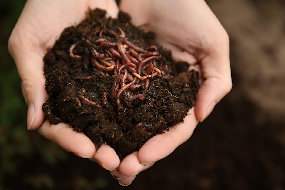 International Compost Week Nature's Recyclers Compost and Worm Farms