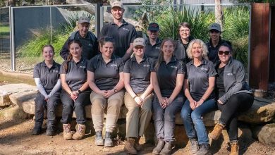 Dural’s Best Kept Secret: The Hills Wildlife Sanctuary