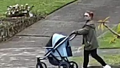 Appeal for assistance after Break & Enter - Kellyville