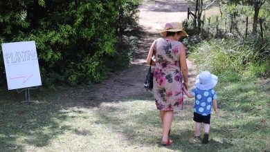 Hornsby Shire Council to Build a Resilient and Connected Community Through Social Initiatives, Arts and Culture