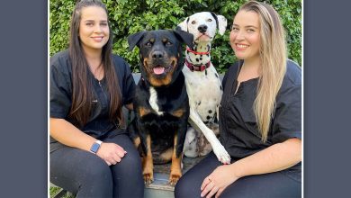 TAFE NSW Courses
