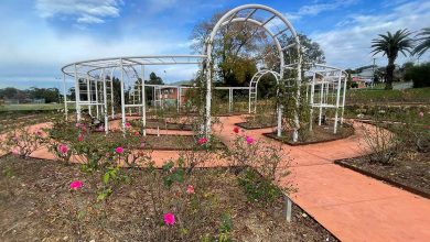Queen Elizabeth II Memorial Rose Garden