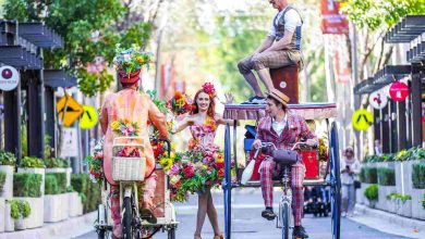 Orange Blossom Festival 2024