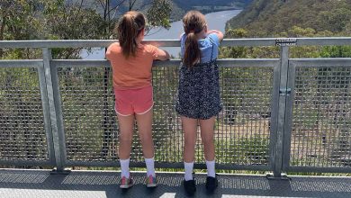 Must See Lookouts Across The Hawkins Lookout