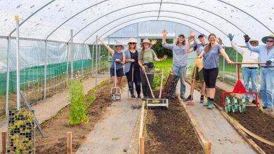 Warrah Biodynamic Farm Offers Guided Tours for the Whole Family