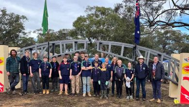 Adventure Camp for Dural Scouts