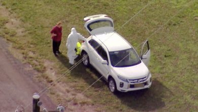 Avian Influenza In Hawkesbury