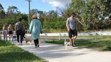 Hawkesbury Active Transport Plan