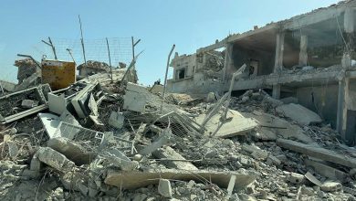 A Glimpse into the Reality of a Medical Mission in Gaza: Reflections from the Field.
