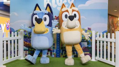 Orange Blossom Festival Parade Bluey and Bingo
