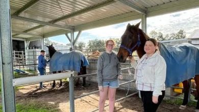 Riding for the Disabled’s 10th Year Anniversary