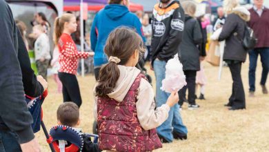 Hawkesbury Fest fairy floss