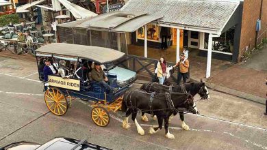 Horse carriage ride from the Gas Lamp festival (Source I love Windsor Facebook)