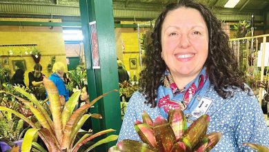 Bromeliad Society of Australia