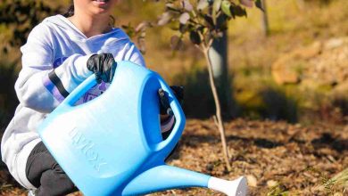 National Tree Day in The Gables by The Hills Shire Council