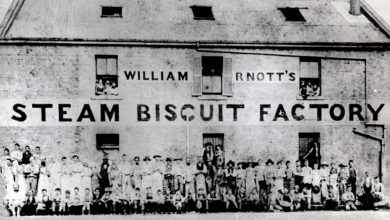 Steam Biscuit Factory: A Cracker Of An Idea
