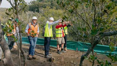 Brooklyn’s Kangaroo Point Coardwalk Construction Begins