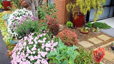 Sydney Hills Garden Competition