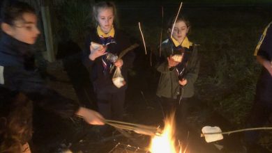 Dural Scouts Conquer Rock Climbing Challenge